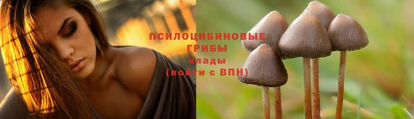 jwh Верея