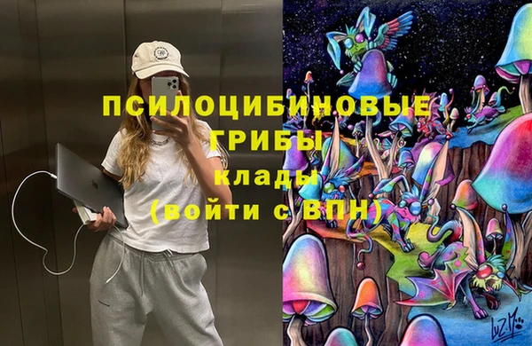 jwh Верея
